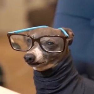 Meet your Posher, Cheriyan